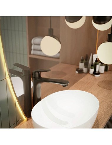 Kassia Lavatorio Monocomando Alto Para Mesada Negro