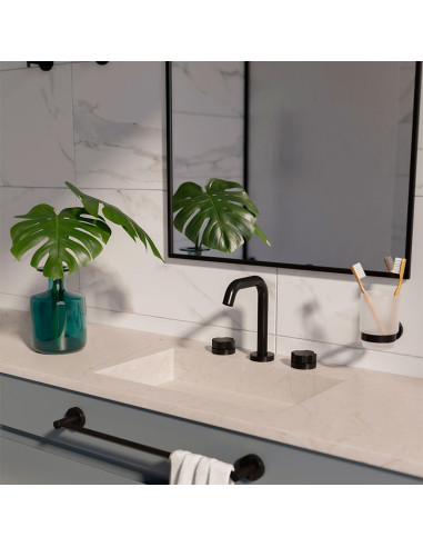 Senza Lavatorio Bimando Para Mesada Negro