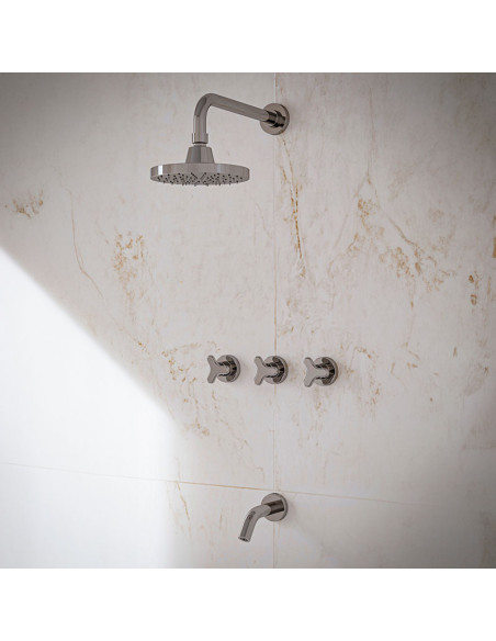 Treva Ducha Pdi De Embutir Bimando Con Flor De Ducha Y Lavapies